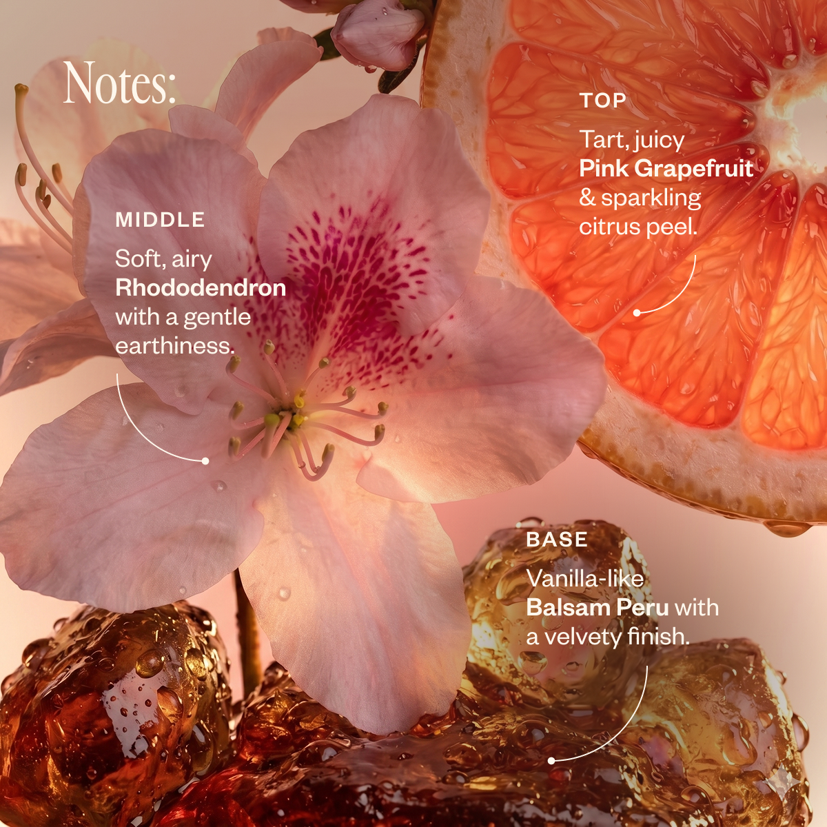 Bloom Bliss 61