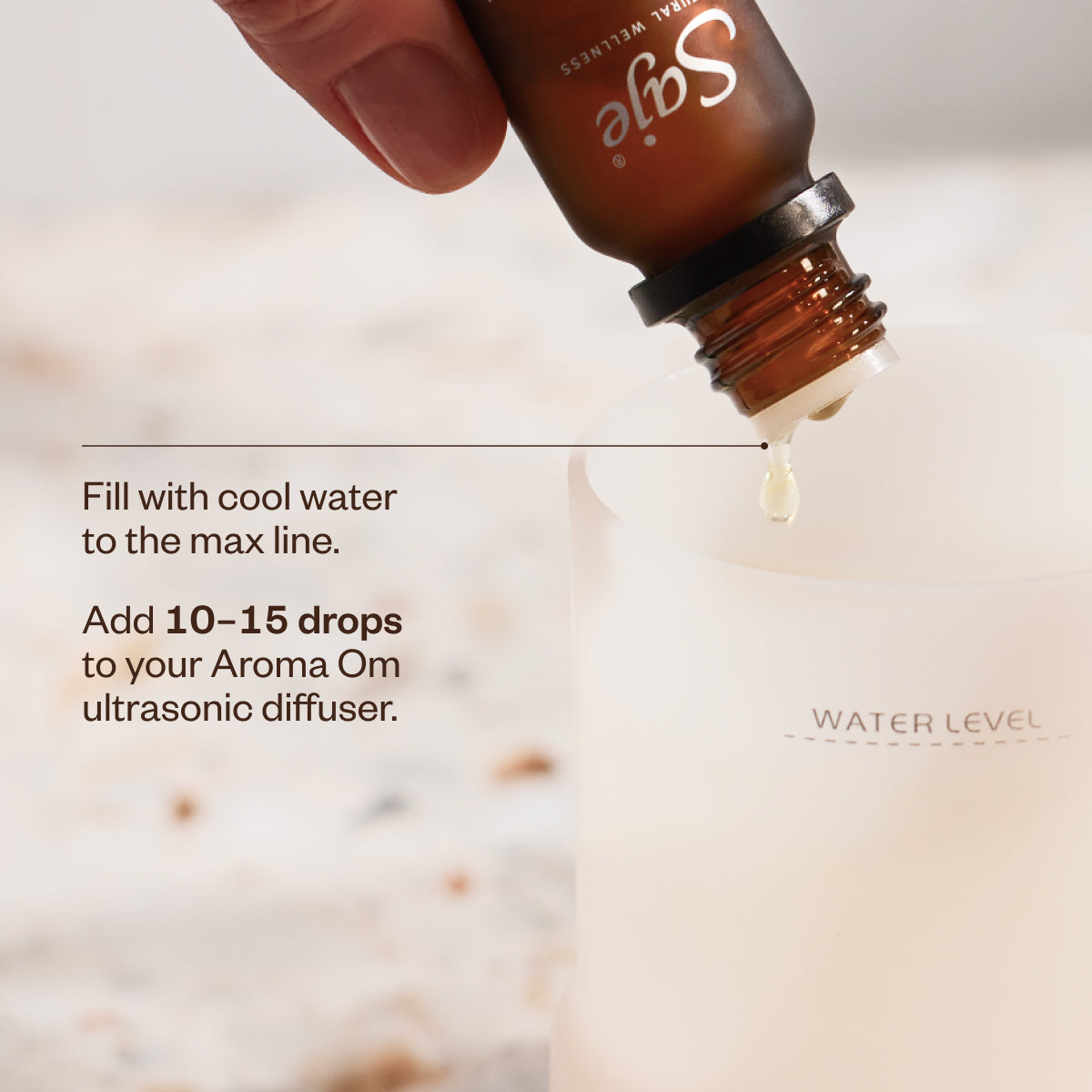 Spring Refresh Diffuser Bundle 00