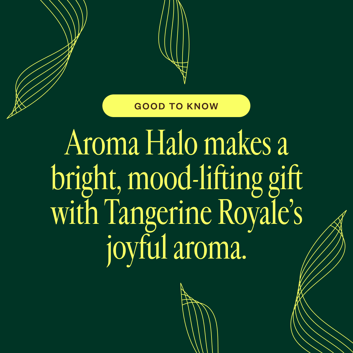 Aroma Halo & Tangerine Royale 20