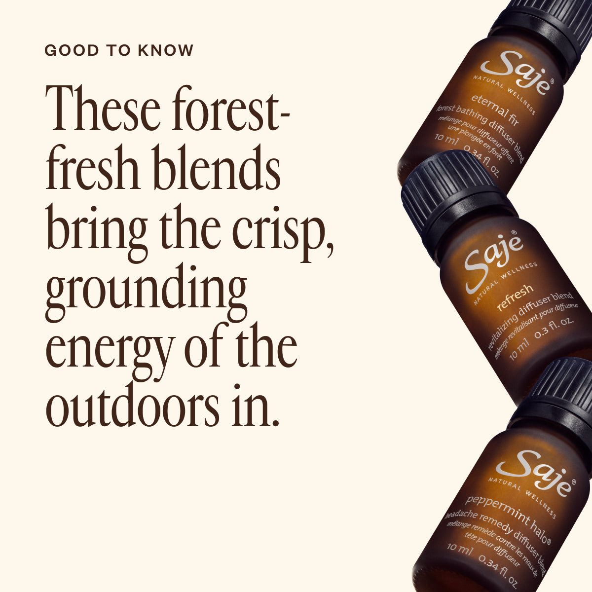 Crisp Canopy 31