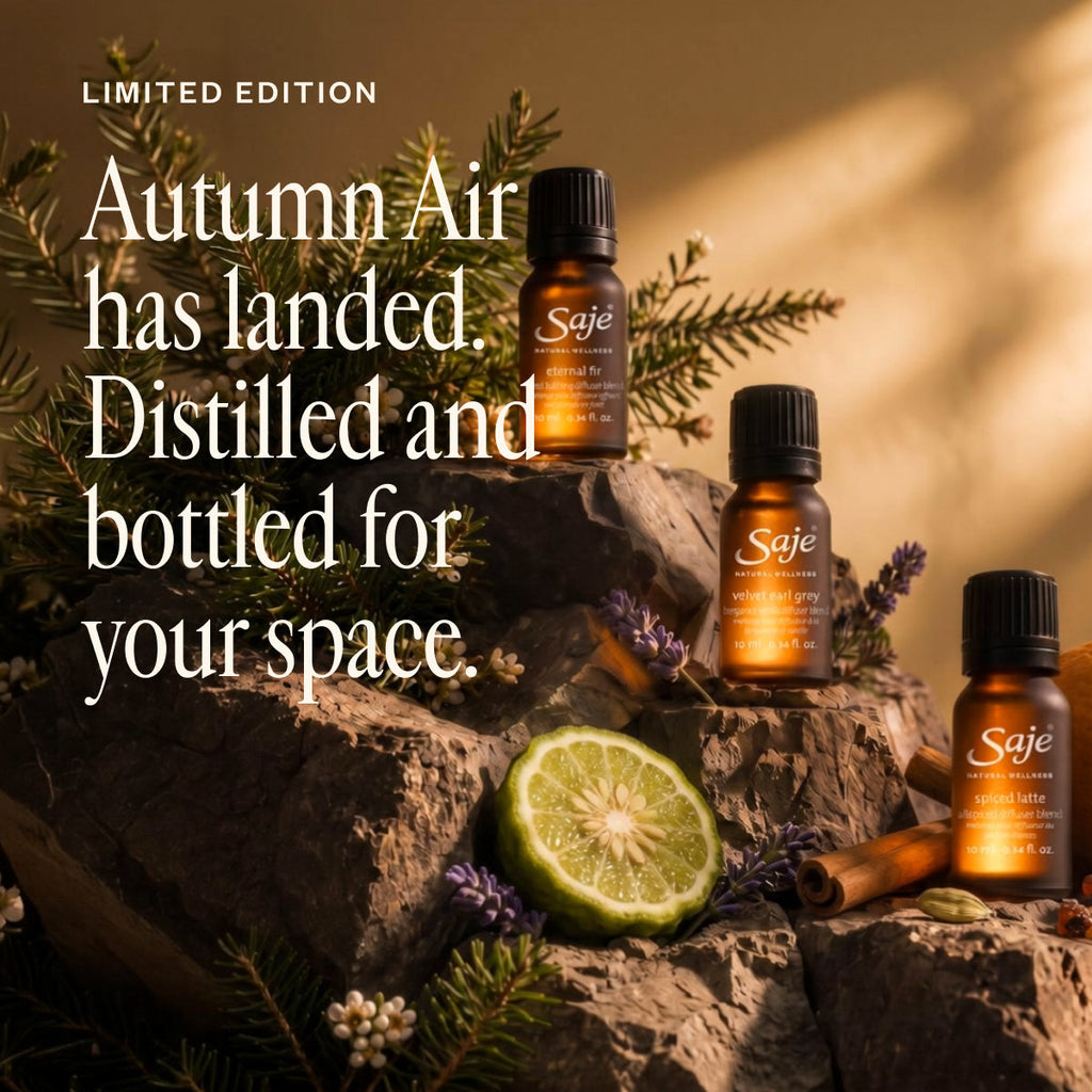Autumn Air Collection 10