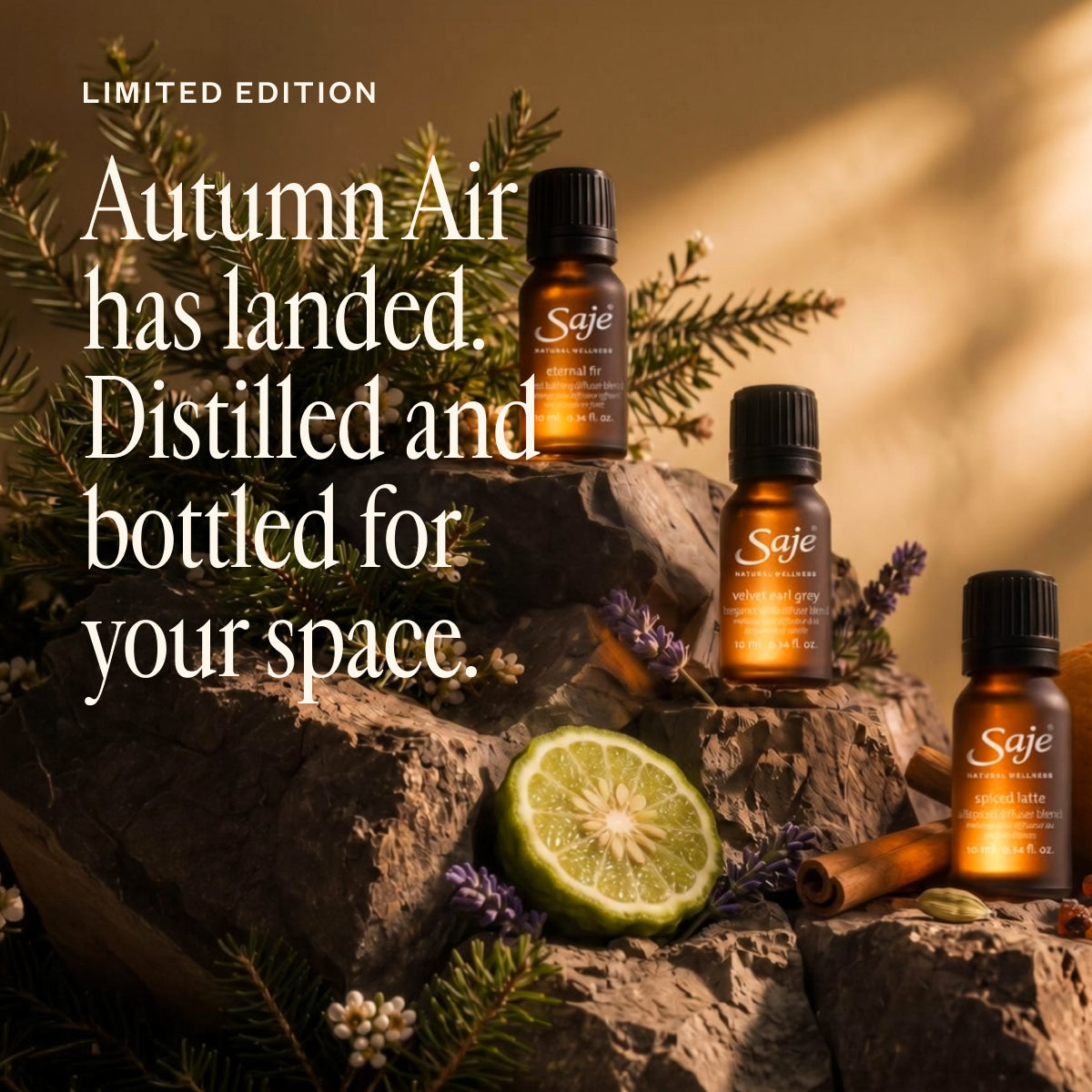 Autumn Air Collection 10