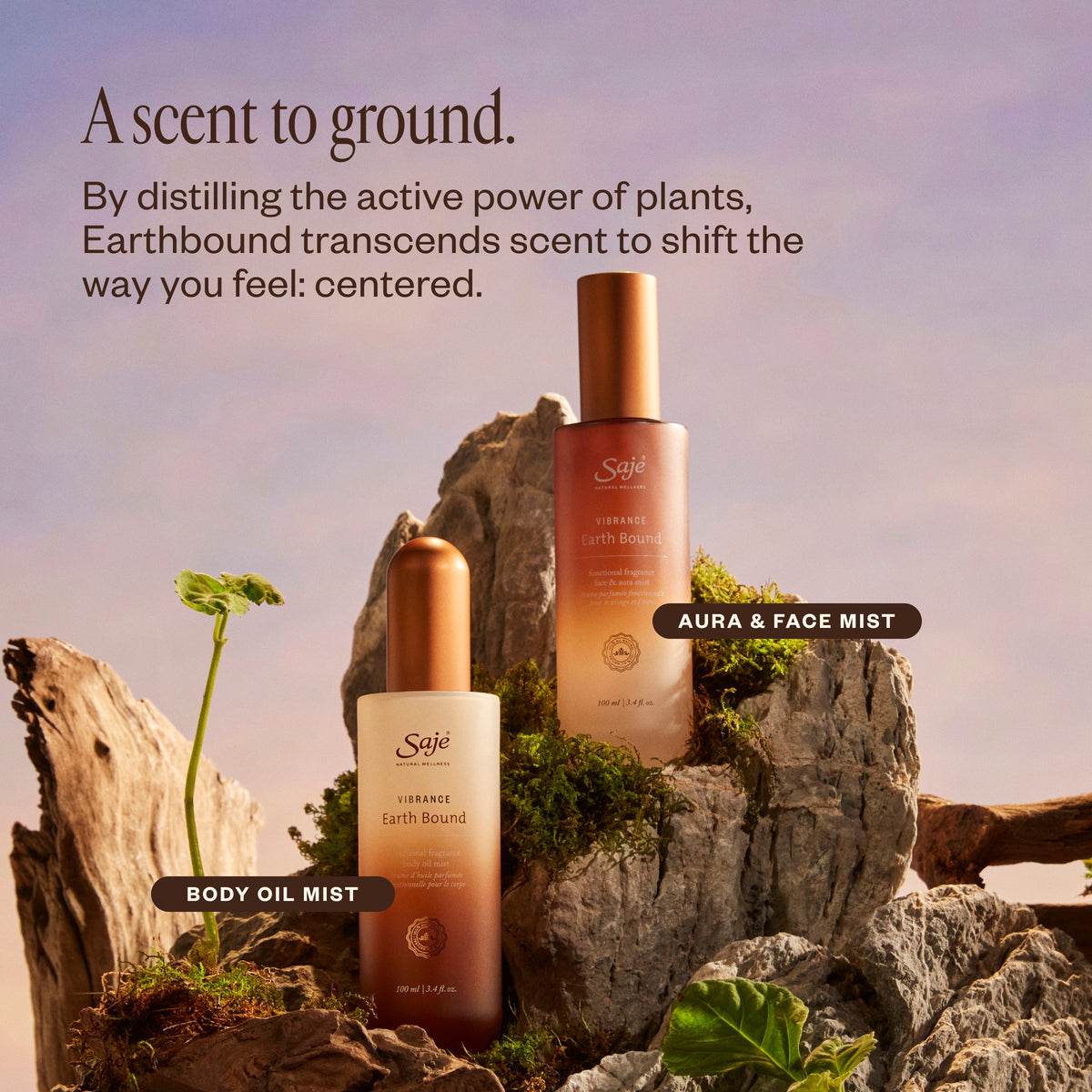 Vibrance Earth Bound 21