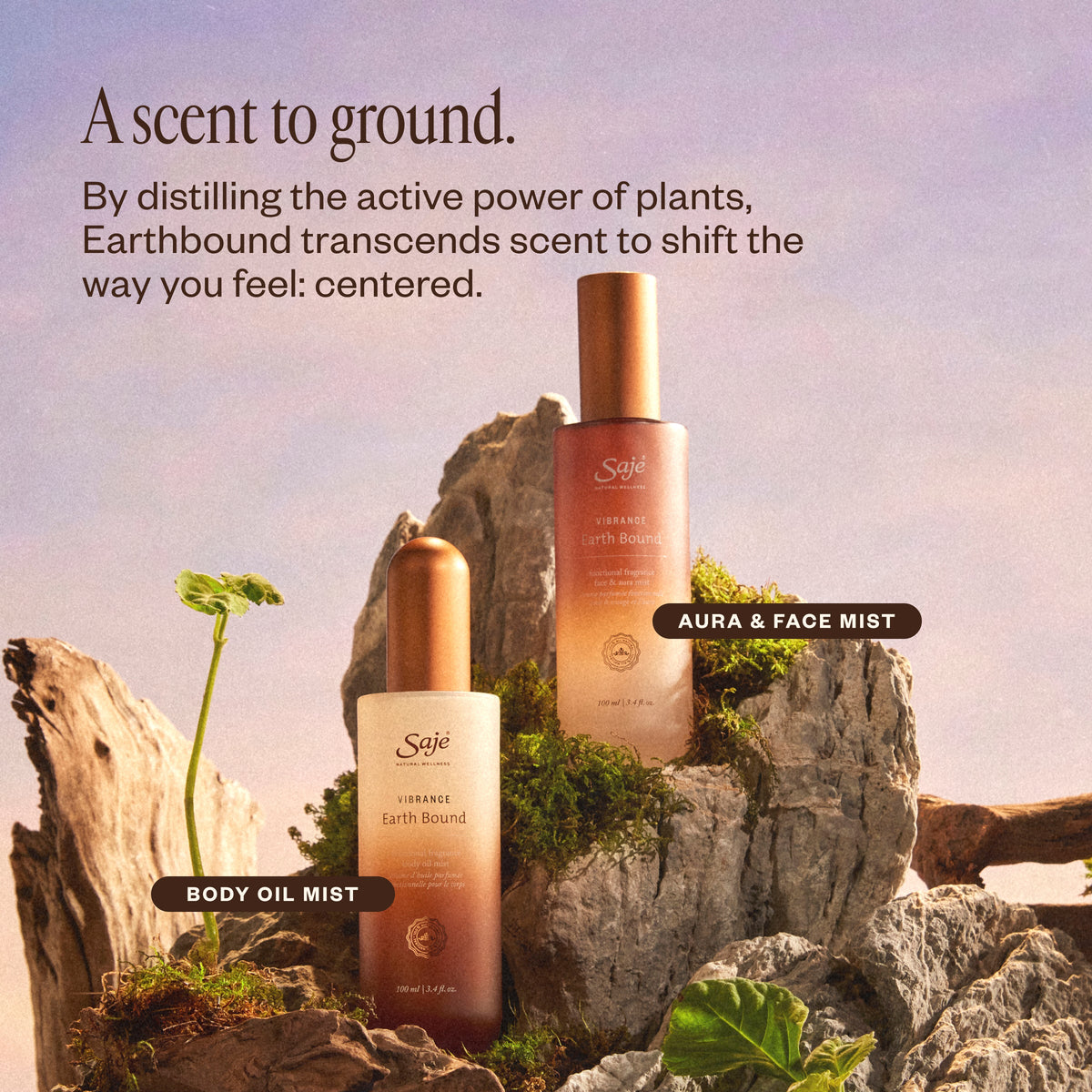 Vibrance Earth Bound C7