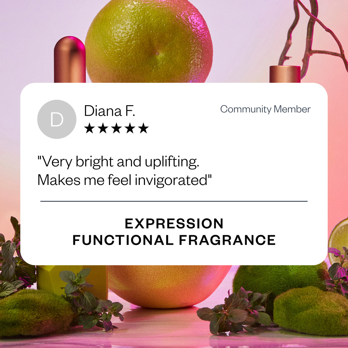 Vibrance Expression 22