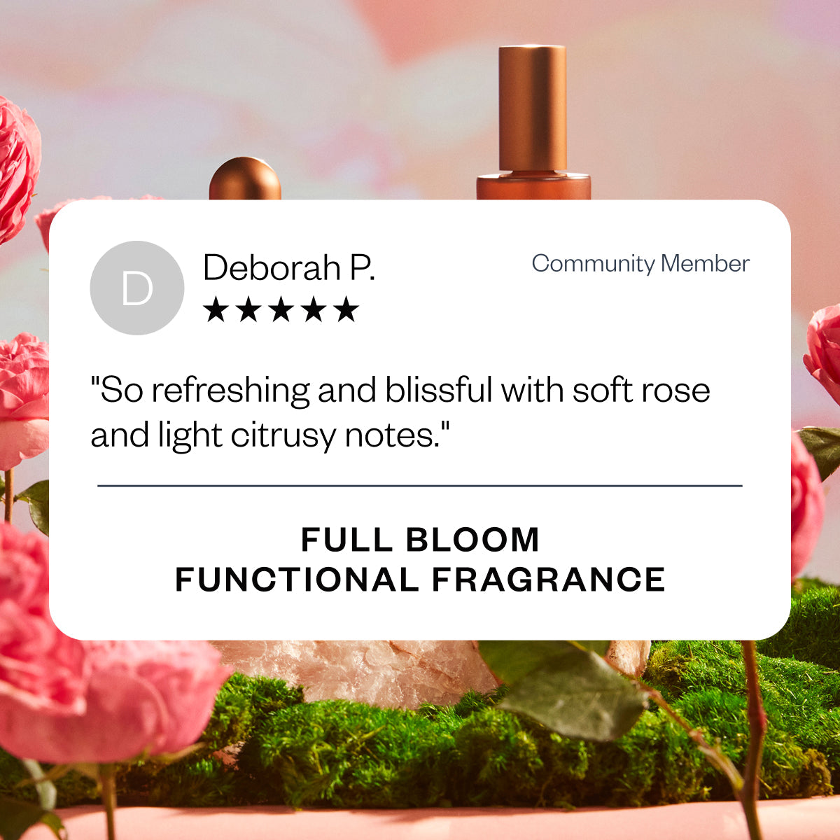 Vibrance Full Bloom 06