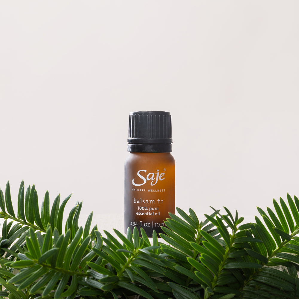 Balsam Fir 64