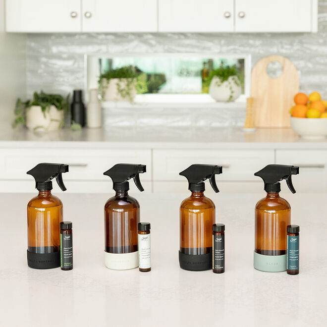 Glass and Mirror Cleaning Kit 15